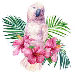 Cockatoo. Tropical leaves, hibiscus flower and parrot, isolated white background, watercolor painting, jungle design
