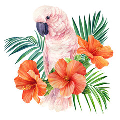 Cockatoo. Tropical leaves, hibiscus flower and parrot, isolated white background, watercolor painting, jungle design