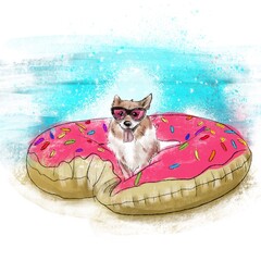 corgi dog holiday in the swimingpool on donut pillow