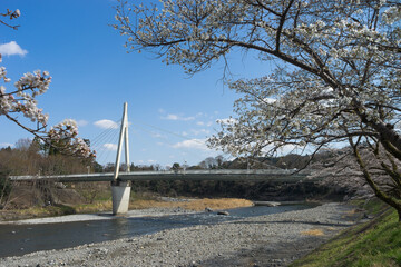 春の釜の淵公園