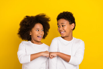Photo of two positive siblings look each other hand give fist bump isolated on yellow color...