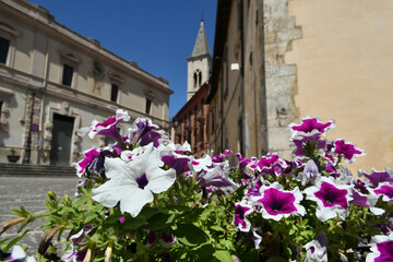 Fototapeta na wymiar A vase of flowers in a square in Sulmona, an Italian village in the Abruzzo region.