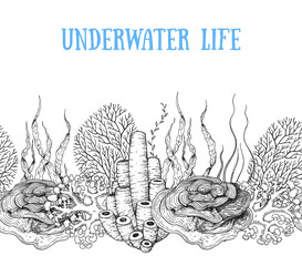 .Underwater life. Hand drawn sketch. Vector illustration. Seaweed and coral, color illustration. Horizontal seamless pattern. Design template. Underwater world hand drawn.