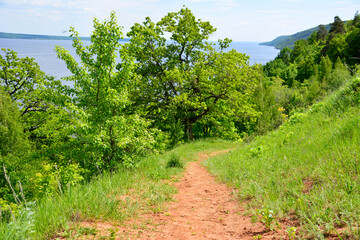 Fototapeta na wymiar red clay footpath in the mountains leading to the lake through summer forest