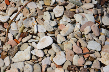 coloured pebbles on the beach of the sea, close-up