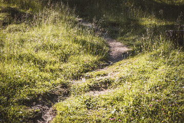 Wanderweg