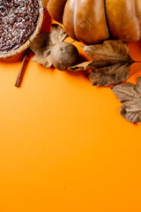 Composition of autumn leaves, pumpkinm, spices and pie on orange background