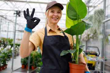 Female garden center worker with green potted houseplant showing ok gesture