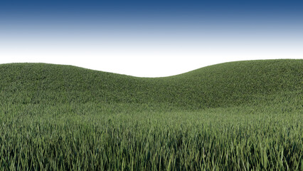 A 3d rendering image of grassed hill nature scenery
