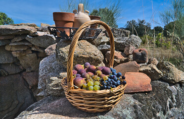 Bodegon sobre muro de piedra en la naturaleza, compuesto de cesta de uvas y higos,  y ceramicas