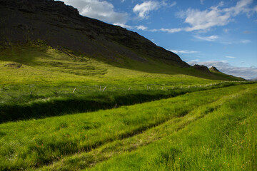 Fototapeta na wymiar Picturesque landscape with green nature in Iceland during summer. Image with a very quiet and innocent nature. 