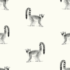 Seamless pattern of sketches funny lemur