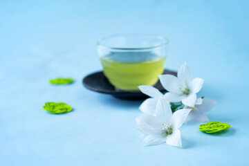 Obraz na płótnie Canvas 冷たい緑茶と白いキキョウの花と水引