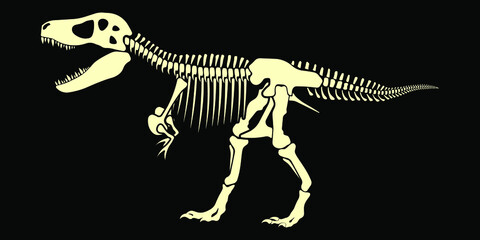 T-Rex dinosaur fossil skeleton. Vector illustration.
