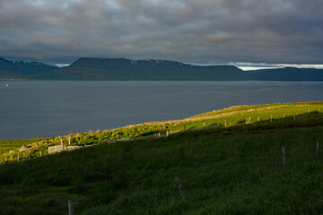 Picturesque landscape with green nature in Iceland during summer. Image with a very quiet and...