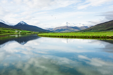 Picturesque landscape with green nature in Iceland during summer. Image with a very quiet and innocent nature.
