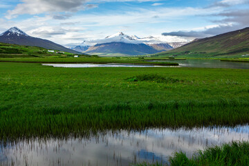 Picturesque landscape with green nature in Iceland during summer. Image with a very quiet and...