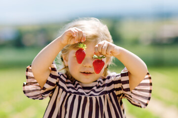 Portrait of happy little toddler girl picking and eating healthy strawberries on organic berry farm in summer, on sunny day. Smiling child. Kid on strawberry plantation field, ripe red berries.
