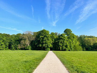 Walking path in a park on a beautiful summer day