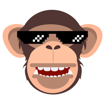 Cool monkey wearing glasses  vector