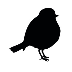 Vector hand drawn robin redbreast bird silhouette isolated on white background