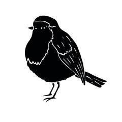Vector hand drawn doodle sketch black robin redbreast bird isolated on white background