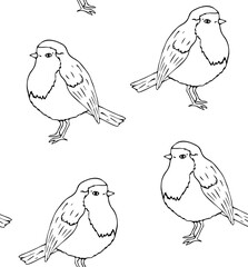 Obraz premium Vector seamless pattern of hand drawn doodle sketch robin redbreast bird isolated on white background
