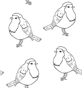 Vector seamless pattern of hand drawn doodle sketch robin redbreast bird isolated on white background