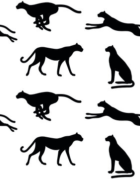 Vector seamless pattern of flat hand drawn cheetah silhouette isolated on white background