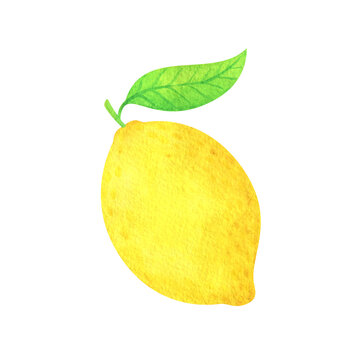 Watercolor lemon with a leaf. A vivid illustration of a yellow citrus. Clipart hand painted juicy lemon fruit