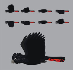 Red-Tailed Black Cockatoo Flying Animation Sequence Cartoon Vector © bullet_chained