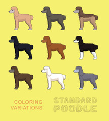 Dog Standard Poodle Coloring Variations Cartoon Vector Illustration