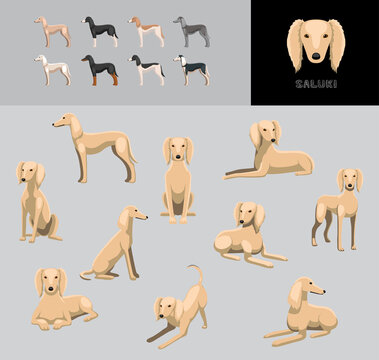 Dog Saluki Cartoon Vector Illustration Color Variation Set
