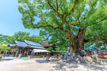 夏の宇美八幡宮　福岡県宇美町　Umi Hachimangu in summer. Fukuoka-ken Umi town.