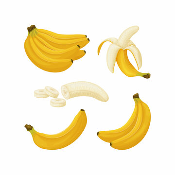 Bananas. Image of bananas. Bananas peeled and cut into pieces. Tropical fruit. Vegetarian product. Vector