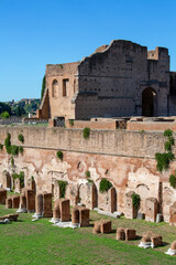 Palatine Hill, view of the ruins of several important ancient  buildings, Hippodrome of Domitian,...