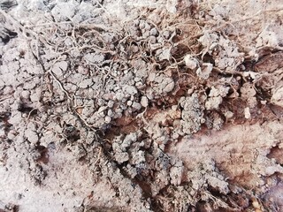 soil texture consisting of different materials small stones and mortar
