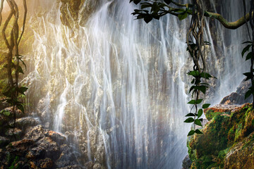 A large waterfall in a cave in the mystical, mysterious jungle.