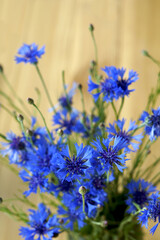 Beautiful bouquet of blue cornflowers, wildflower bouquet 