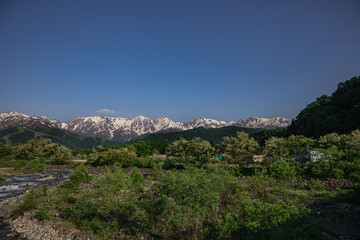 初夏の白馬山麓