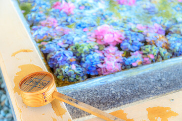 柄杓と紫陽花　宇美八幡宮　福岡県宇美町　Hishaku and hydrangea. Umihachimangu. Fukuoka-ken Umi town.