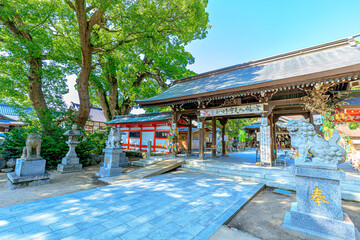 夏の宇美八幡宮　福岡県宇美町　Umi Hachimangu in summer. Fukuoka-ken Umi town.