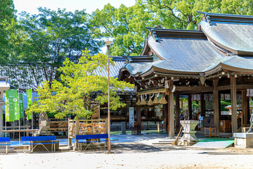 夏の宇美八幡宮　福岡県宇美町　Umi Hachimangu in summer. Fukuoka-ken Umi town.