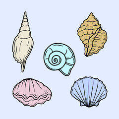 Shells set vector detailed and easy to edit