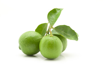 Close-up of fresh green organic lemon (Citrus limon) with leaf isolated over white.