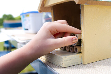 Making a bug hotel. Close-up of a child's hand inserting sections of bamboo cane to create a...