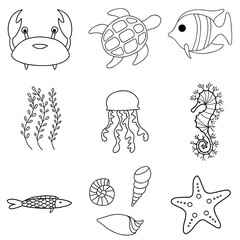 Sea or ocean fish, underwater aquatic animal. Vector outline illustration set. Cartoon cute starfish, seaweed, jellyfish, crab, turtle, sea horse, shells, fishes. © Iuliia