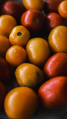 Fresh vegetables.  Yellow tomatoes and red tomatoes. Fresh vegetables on table. Market vegetable, garden.Diet concept. Healthy organic vegetarian food.