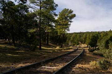 railway in the forest