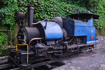 DARJEELING, INDIAN -June 22, The toy train of Darjeeling Himalayan Railway runs on the track in...